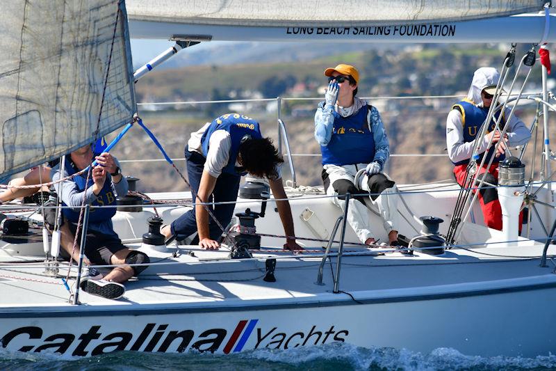 Los Angeles Harbor Cup Day 2 photo copyright Laurie Morrison Photography taken at Los Angeles Yacht Club and featuring the Catalina 37 class