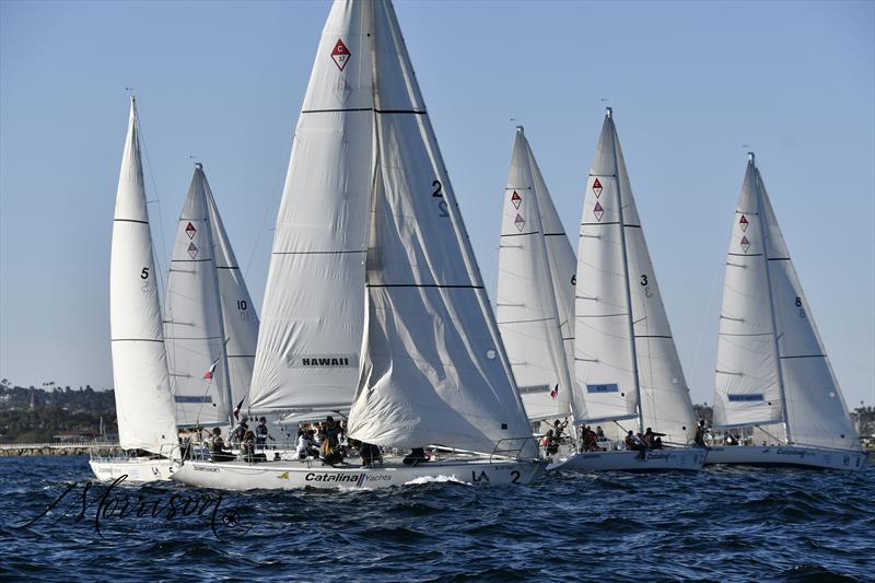 POLA Harbor Cup 2026 photo copyright Morrison Photo Ventures taken at Los Angeles Yacht Club and featuring the Catalina 37 class