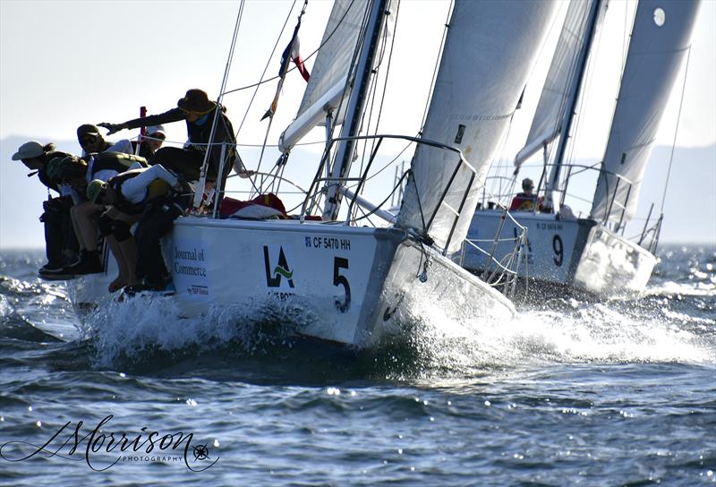POLA Harbor Cup 2026 photo copyright Morrison Photo Ventures taken at Los Angeles Yacht Club and featuring the Catalina 37 class