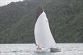 Twin Sharks The Yacht Sales Co Regatta 2024 Day 2 at Phuket, Thailand © Scott Murray