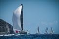 The multihull fleet had an impressive mix of vessels, from cruising cats to pocket-rocket trimarans, in the 2025 St. Maarten Heineken Regatta © Laurens Morel / www.saltycolours.com