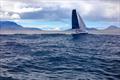 Leopard 46 Sailing cat © Leopard Catamarans