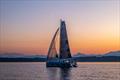 Excess Catamaran