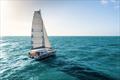 Excess Catamaran