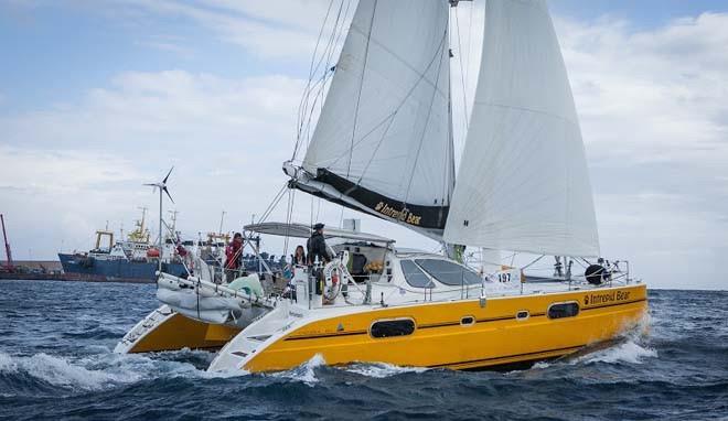 The winning catamaran in the ARC, Intrepid Bear, was powered by a set of Hyde Sails photo copyright World Cruising Club taken at  and featuring the Catamaran class