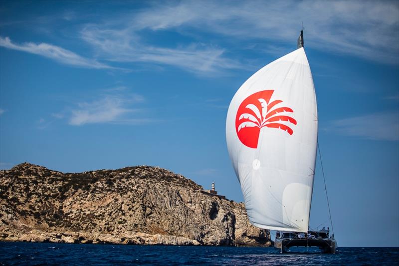 Multihull Cup day 1 photo copyright Sailing Energy taken at  and featuring the Catamaran class