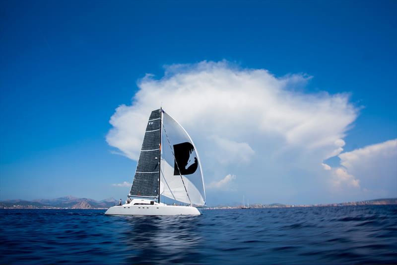 Multihull Cup day 2 photo copyright Sailing Energy taken at  and featuring the Catamaran class