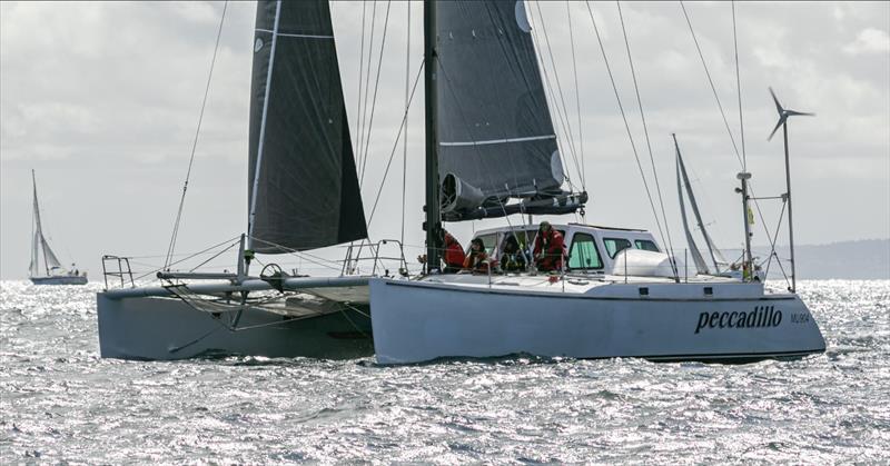 Multihull, Peccadillo photo copyright Al Dillon taken at Ocean Racing Club of Victoria and featuring the Catamaran class