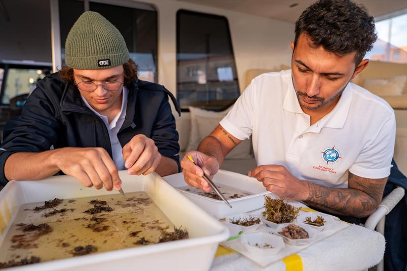 MODX 70 #01 - Science On Board - photo © Maëva Bardy