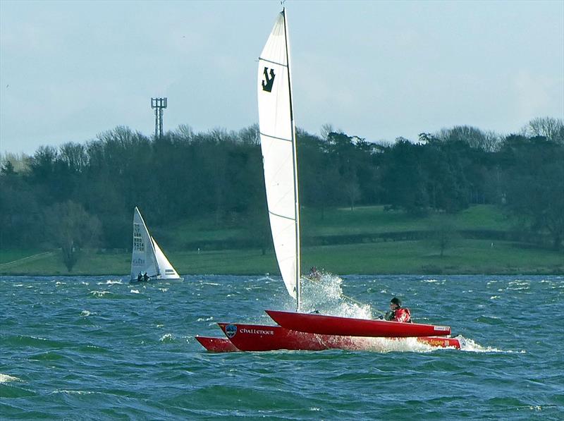 Challengers at the 2020 Tiger Trophy photo copyright Richard Johnson taken at Rutland Sailing Club and featuring the Challenger class