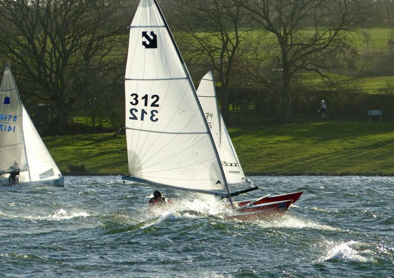 Challengers at the 2020 Tiger Trophy photo copyright Richard Johnson taken at Rutland Sailing Club and featuring the Challenger class