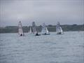 Cherubs at the Filey Regatta © Roger Nunn