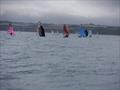 Cherubs at the Filey Regatta © Roger Nunn