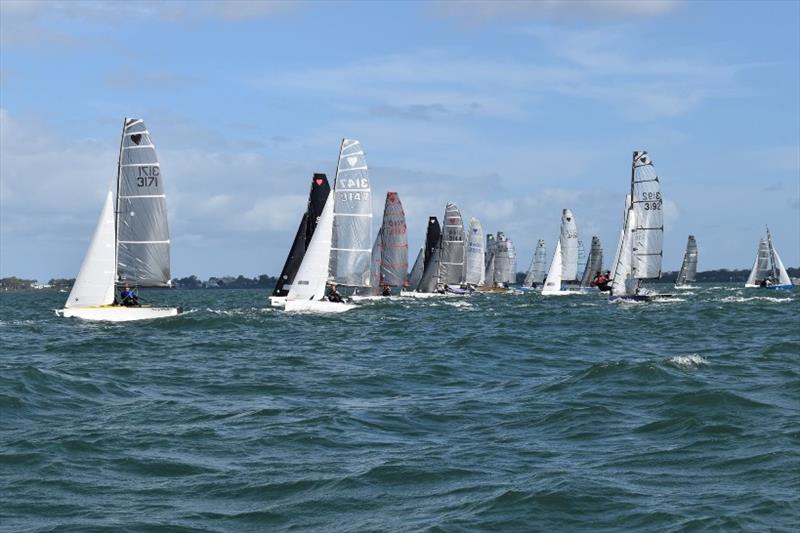 Race Start - 57th Cherub Australian Championship photo copyright Andrew Glassock taken at Darling Point Sailing Squadron and featuring the Cherub class