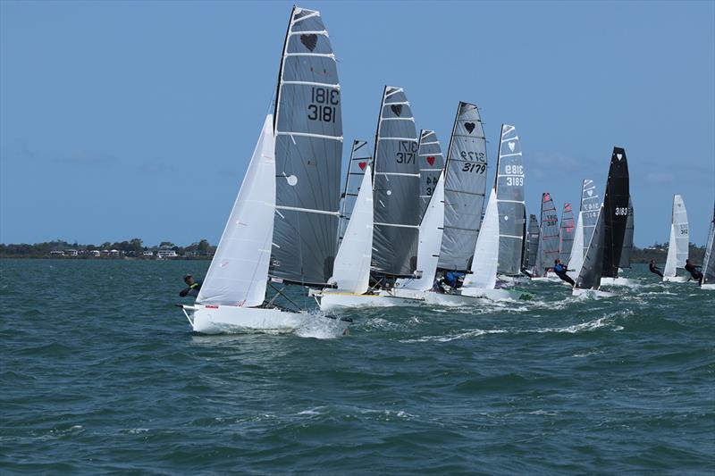 Race 8 - 57th Cherub Australian Championship photo copyright Andrew Glassock taken at Darling Point Sailing Squadron and featuring the Cherub class