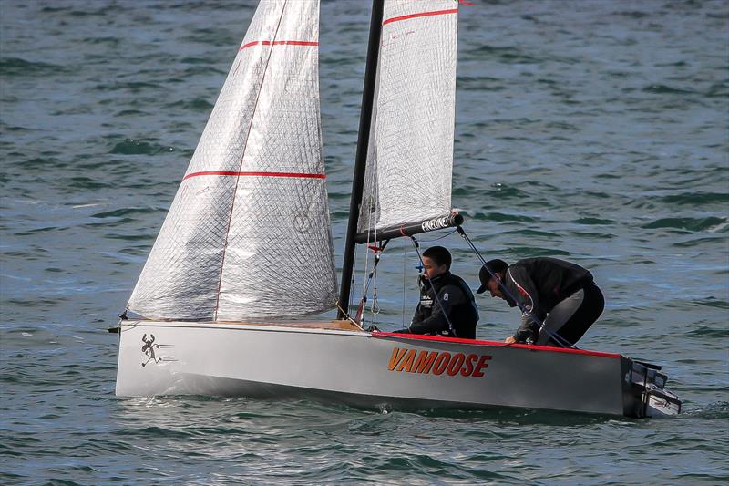 Cherub - Waitemata Harbour - June 2020 - photo © Richard Gladwell / Sail-World.com