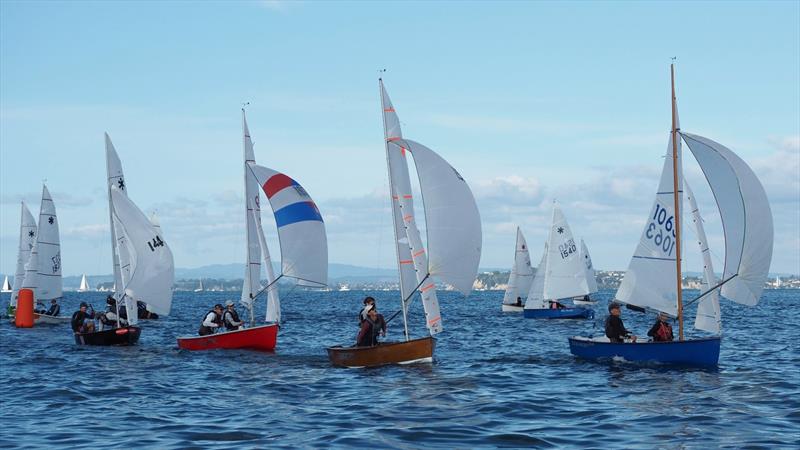 NZ Sunburst Nationals - Wakatere Boating Club - May 2022 photo copyright Wakatere BC taken at Wakatere Boating Club and featuring the Cherub class