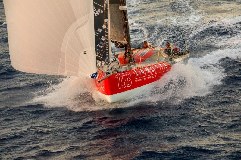 Luke Berry's Lamotte - Module Création - 2019 RORC Caribbean 600 photo copyright RORC / Arthur Daniel taken at Royal Ocean Racing Club and featuring the Class 40 class