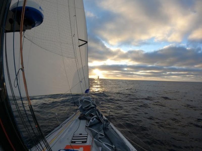 Transat Jacques Vabre Day 15 photo copyright TJV Media taken at  and featuring the Class 40 class