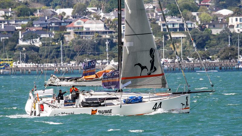 Sec Hayai - Frans Budel and Ysbrand Endt (NED) sail up the Waitemata after winning Leg 3 of the Globe40 in Auckland October 16, 2022 photo copyright Richard Gladwell - Sail-World.com/nz taken at Royal New Zealand Yacht Squadron and featuring the Class 40 class