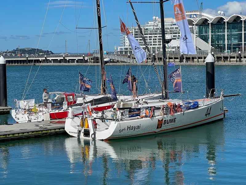 Sec Hayai and Milai drying out after over 34 days of short handed racing - Globe 40 - North Wharf, Jellicoe Harbour. - October, 2022 photo copyright Richard Gladwell - Sail-World.com/nz taken at Royal New Zealand Yacht Squadron and featuring the Class 40 class