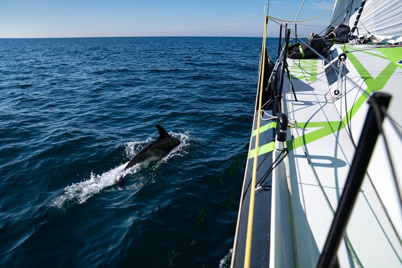 VSF Sports during the Transat Café L'OR photo copyright Gauthier Lebec taken at  and featuring the Class 40 class