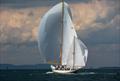 Camden Classics Cup © Lyman-Morse Boatbuilding