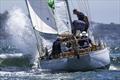 Maris during the Classic Sydney Hobart Yacht Race 2025 &copy; Andrea Francolini