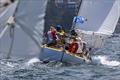 Solveig during the Classic Sydney Hobart Yacht Race 2024 &copy; Andrea Francolini