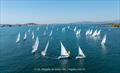 24th Betina Regatta for the Soul and Body
