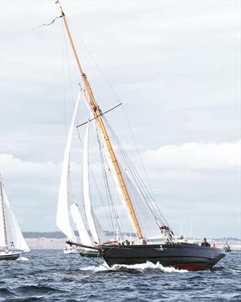 yacht racing falmouth