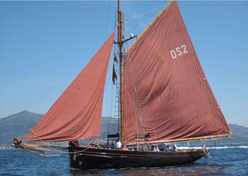 single handed yacht race new plymouth