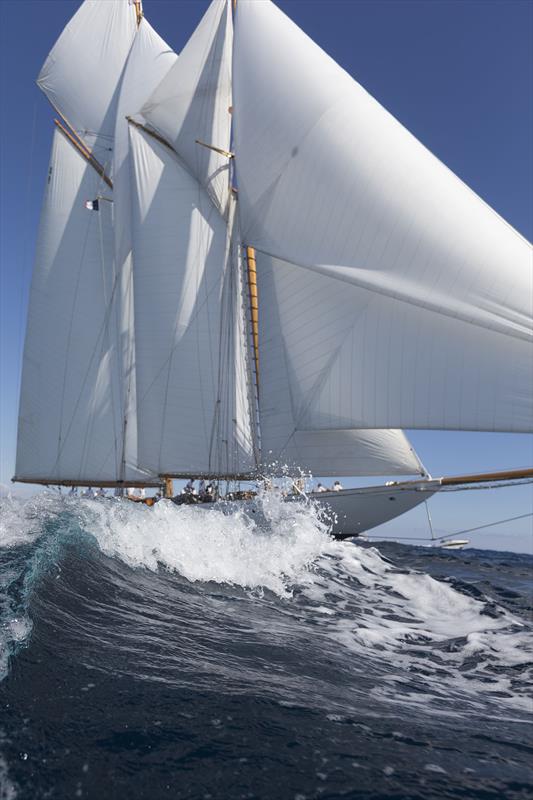 Les Voiles de St Tropez day 3 photo copyright Gilles Martin-Raget / www.martin-raget.com taken at Société Nautique de Saint-Tropez and featuring the Classic Yachts class