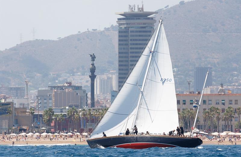 IX Barcelona Puig Vela Clàssica day 2 photo copyright Nico Martinez / www.MartinezStudio.es taken at Real Club Nautico de Barcelona and featuring the Classic Yachts class