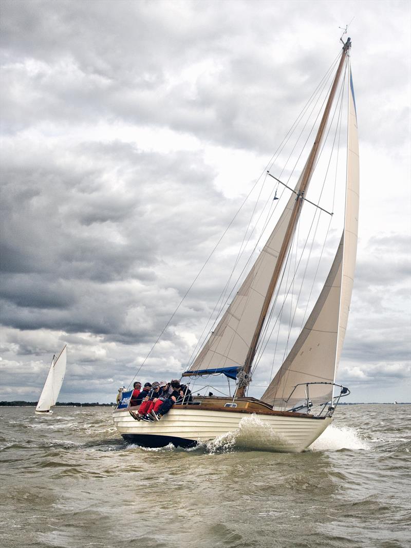 Peter Clarke at the helm of 'Tasman' a Buchanan East Coast One Design photo copyright Chrissie Westgate taken at West Mersea Yacht Club and featuring the Classic Yachts class