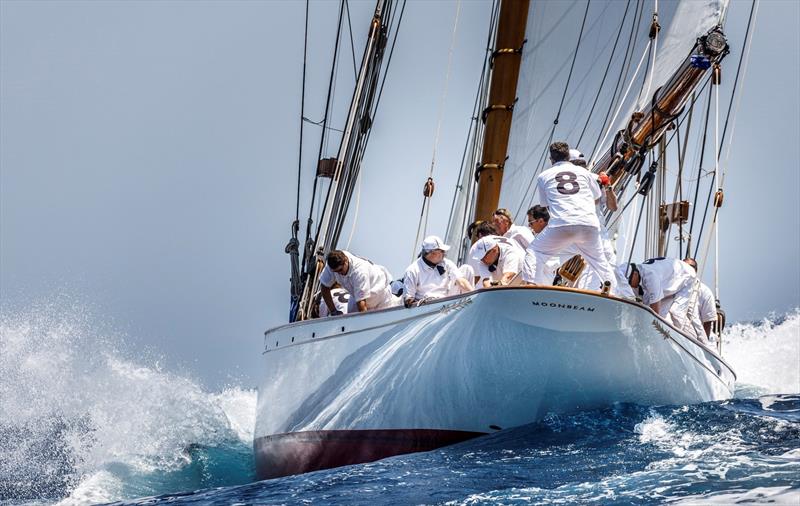 Puig Vela Clàssica Barcelona photo copyright Nico Martinez taken at Real Club Nautico de Barcelona and featuring the Classic Yachts class