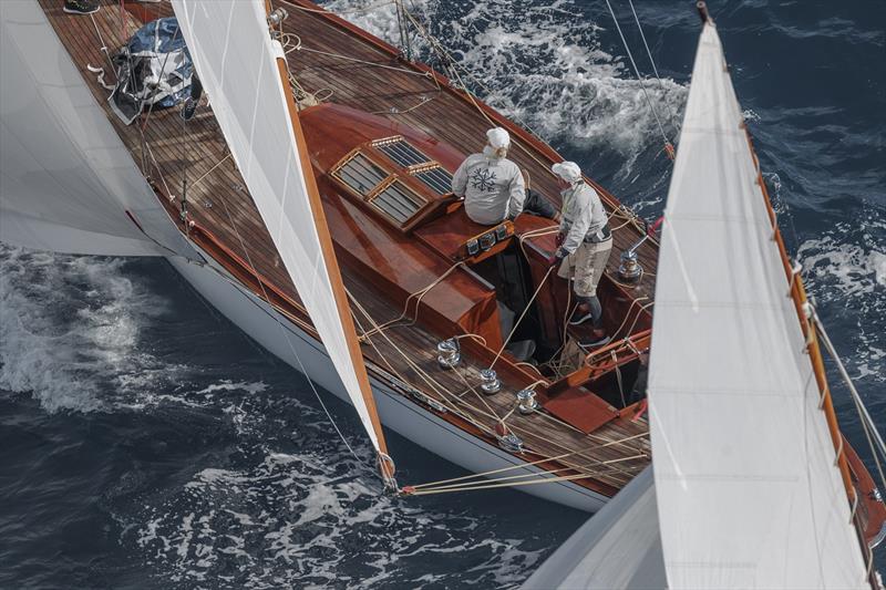 Voiles de Saint-Tropez - photo © Gilles Martin-Raget