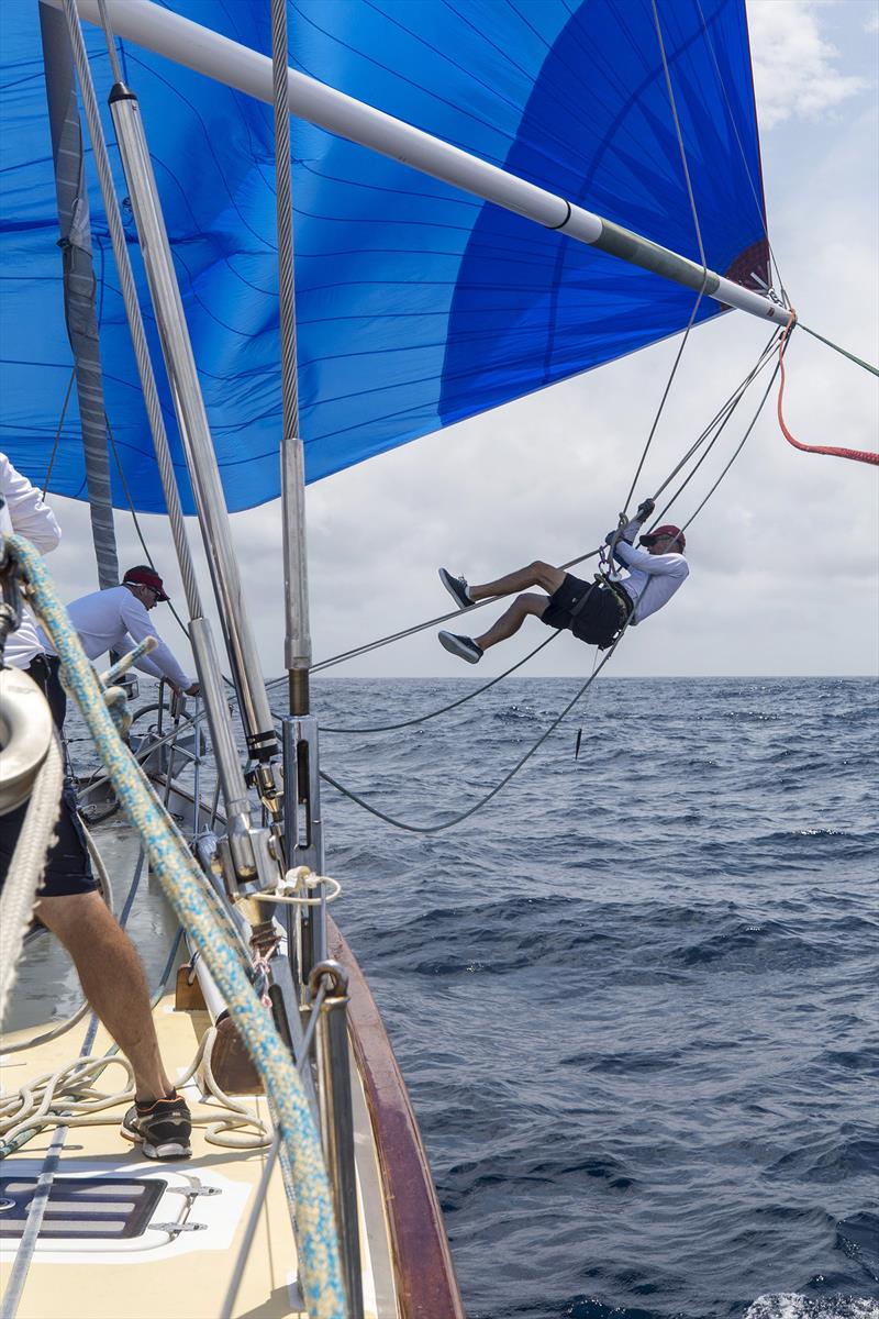 For those who are too young that is a spin pole the foredeckie is going out on! The item hanging down is the spike he'll use to release the Gib clip holding the kite so they can douse it photo copyright Andrea Francolini taken at  and featuring the Classic Yachts class