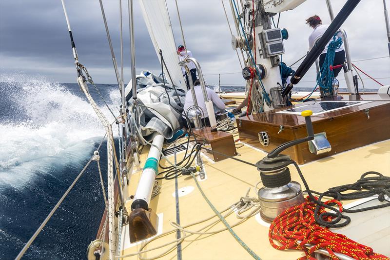 That brown stuff is wood, and it is glossy because of another thing called varnish, which you have to apply regularly! photo copyright Andrea Francolini taken at  and featuring the Classic Yachts class