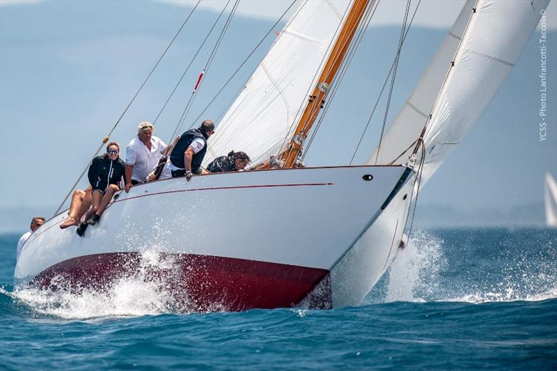 Fjord III - Sensini photo copyright Fabio Taccola taken at Yacht Club Santo Stefano and featuring the Classic Yachts class