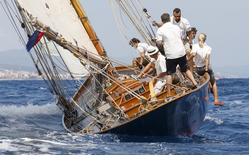 Puig Vela Clàssica Barcelona Regatta photo copyright Nico Martinez taken at Real Club Nautico de Barcelona and featuring the Classic Yachts class