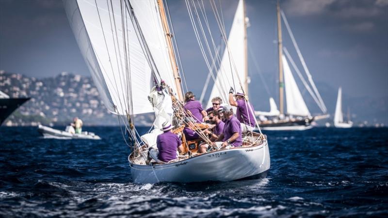 Viola - GYC Centenary Trophy 2016 - photo © Juerg Kaufmann / www.go4image.com