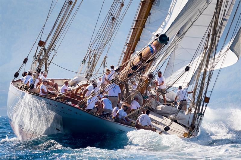 Elena of London - Régates Royales Cannes - Trophée Panerai - photo © Guido Cantini / Panerai