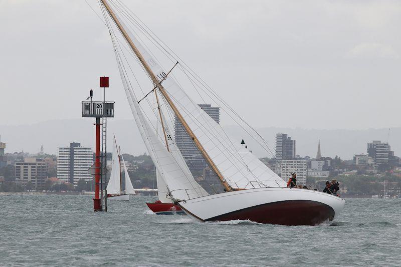 Scimitar skippered by Damian Purcell on day 1 of the 12th Classic Yacht Cup Regatta photo copyright Alex McKinnon Photography taken at Royal Yacht Club of Victoria and featuring the Classic Yachts class