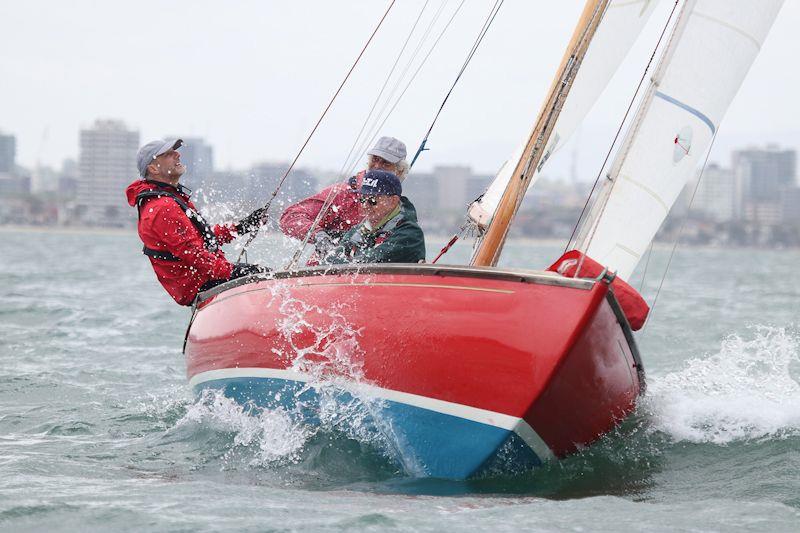 Avian skippered by Roger Dundas on day 1 of the 12th Classic Yacht Cup Regatta photo copyright Alex McKinnon Photography taken at Royal Yacht Club of Victoria and featuring the Classic Yachts class