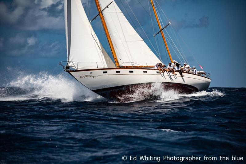 Paul Deeth's 1965 50' John Alden ketch Petrana - Antigua Classics Yacht Regatta photo copyright Ed Whiting Photographer from the blue taken at Antigua Yacht Club and featuring the Classic Yachts class