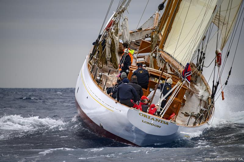 Smallest schooner at Capri Classica, Orianda came home third again today photo copyright Blue Passion Photo / ISA taken at Yacht Club Capri and featuring the Classic Yachts class