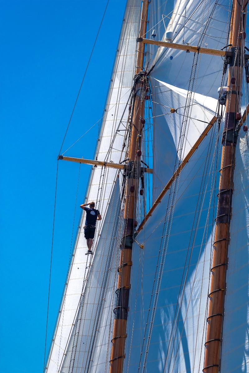 Looking for breeze from aloft - Capri Classica 2019 - photo © Gianfranco Forza