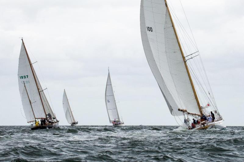 The largest competitors after their start - Classic Yacht Regatta 2019 - photo © Mary Alice Carmichael