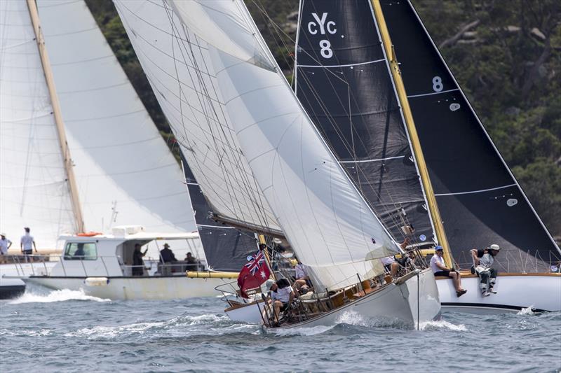 Sir Jim Hardy's, Nerida photo copyright Andrea Francolini taken at Cruising Yacht Club of Australia and featuring the Classic Yachts class